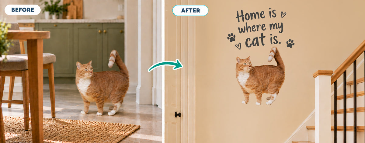 Before and after: photo of a cat turned into a wall sticker with “Home is where my cat is”