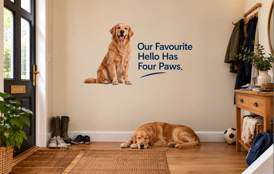 Custom pet wall sticker of a dog